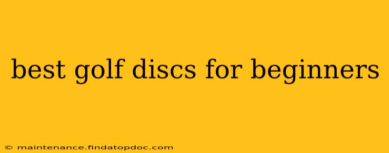 best golf discs for beginners