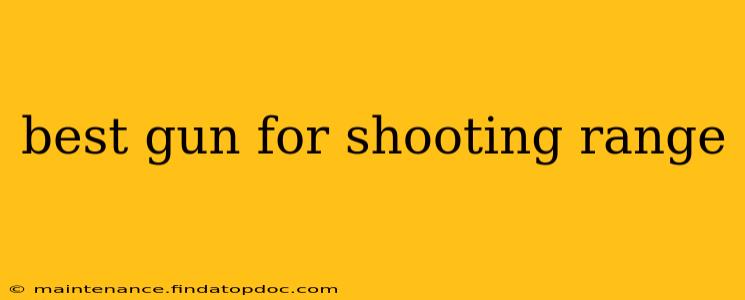 best gun for shooting range