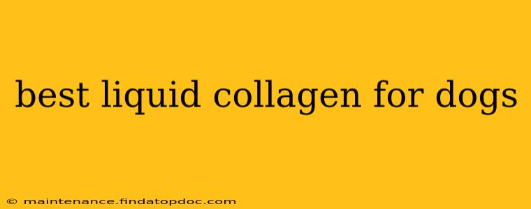 best liquid collagen for dogs