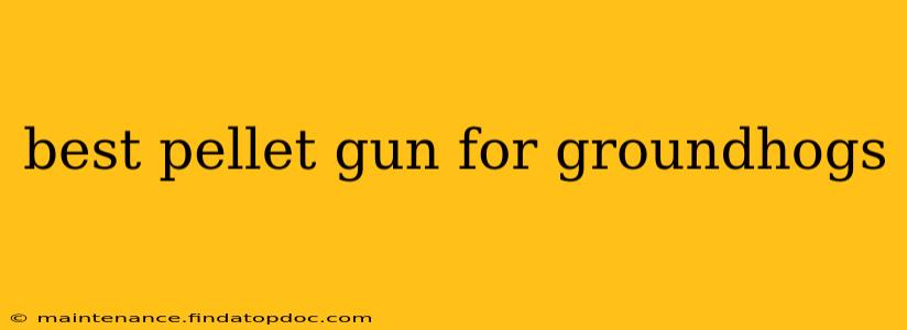 best pellet gun for groundhogs