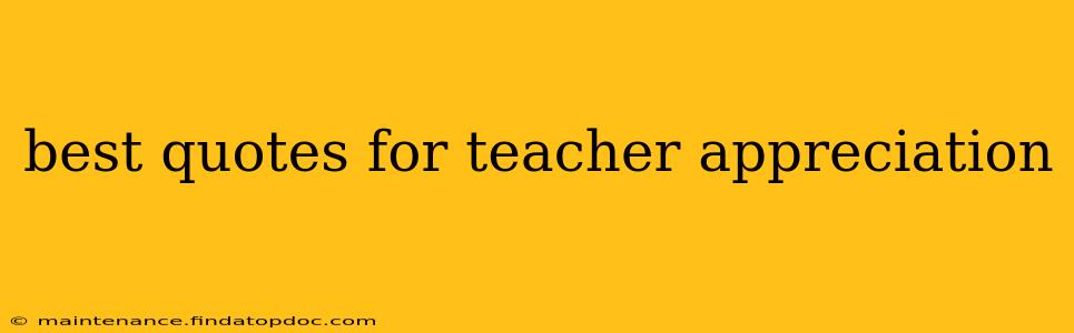 best quotes for teacher appreciation