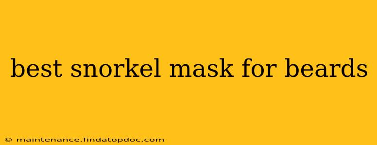 best snorkel mask for beards