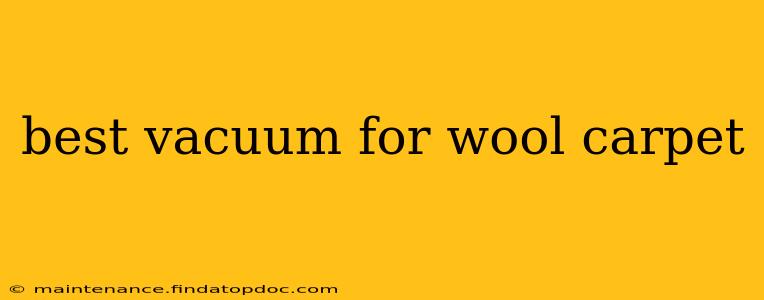 best vacuum for wool carpet
