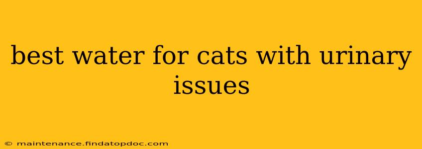best water for cats with urinary issues