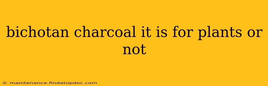 bichotan charcoal it is for plants or not