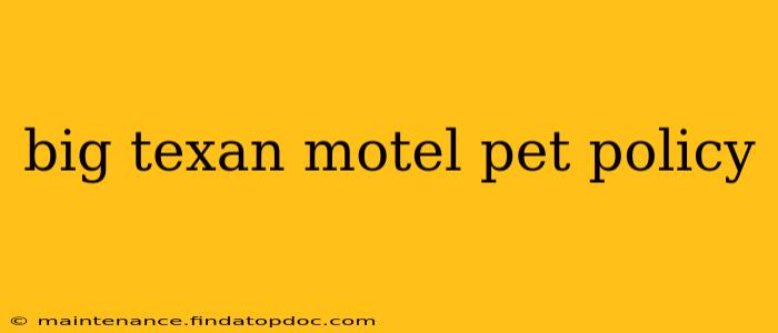 big texan motel pet policy