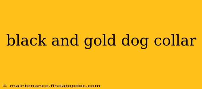 black and gold dog collar