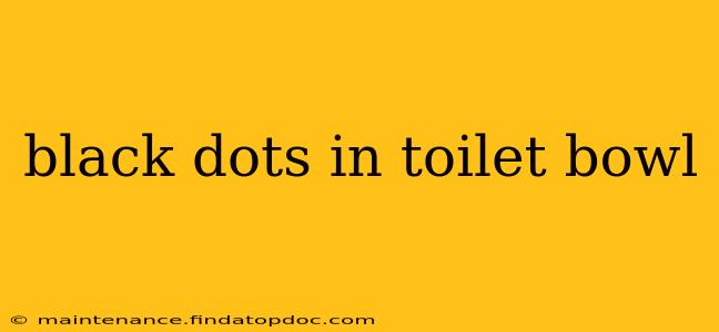 black dots in toilet bowl