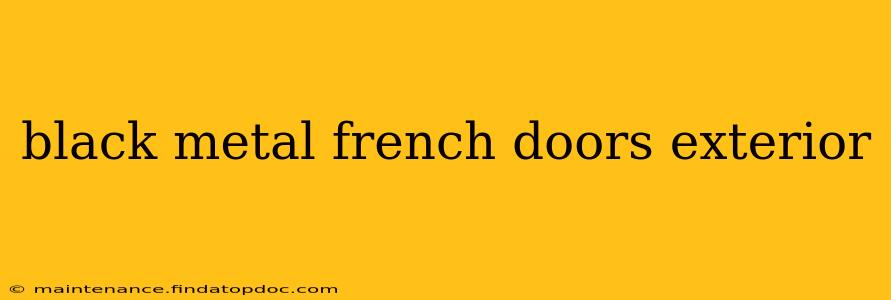 black metal french doors exterior