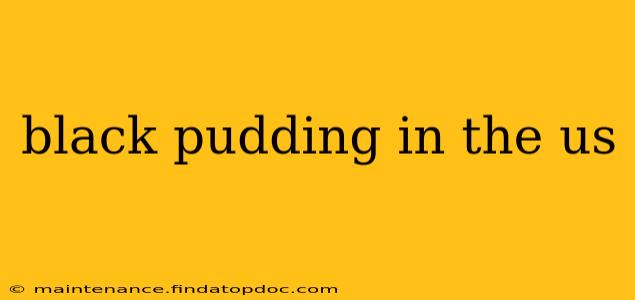 black pudding in the us