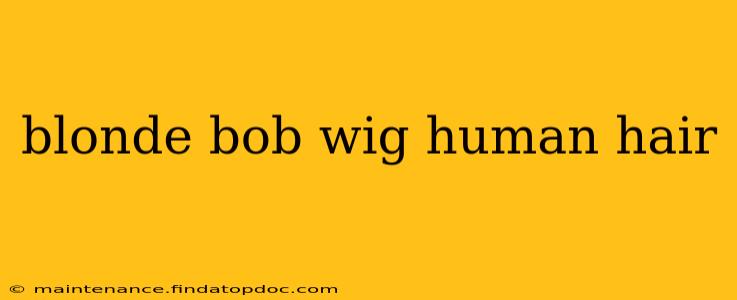 blonde bob wig human hair