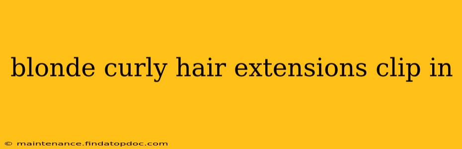 blonde curly hair extensions clip in