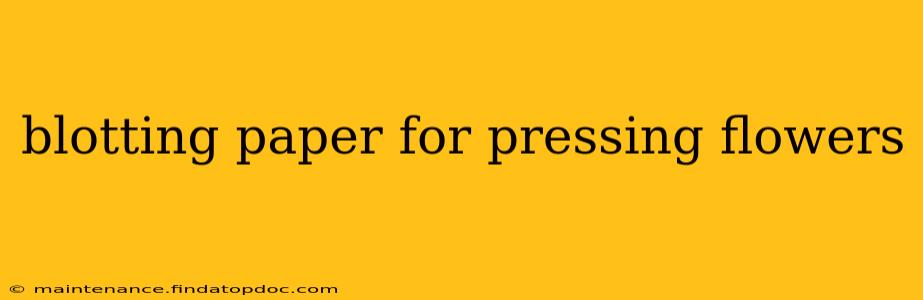 blotting paper for pressing flowers