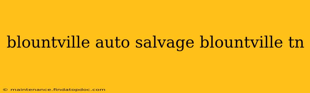 blountville auto salvage blountville tn