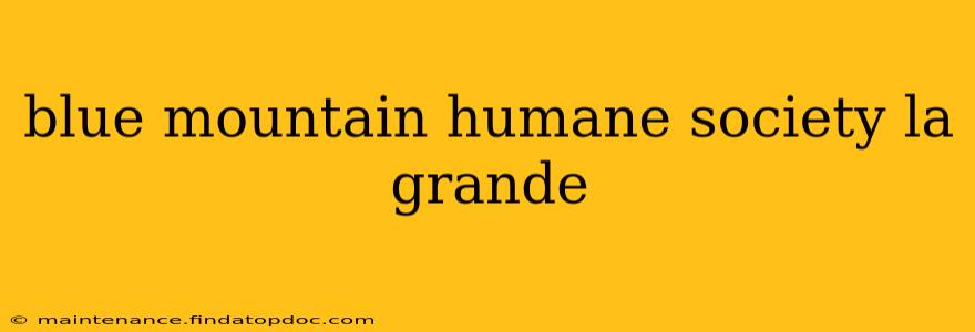 blue mountain humane society la grande