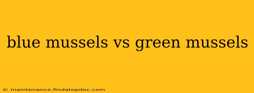 blue mussels vs green mussels