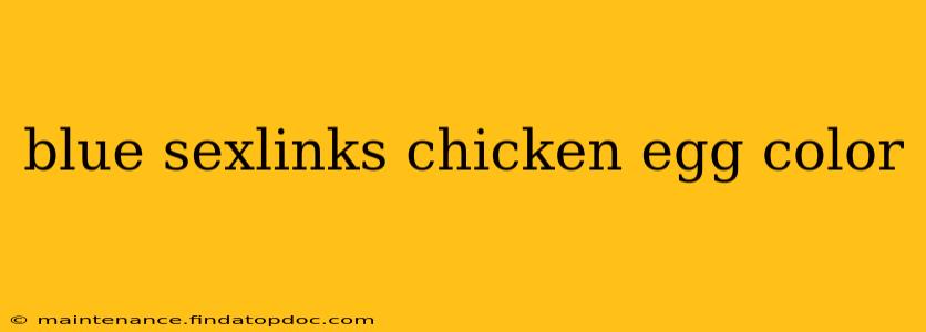 blue sexlinks chicken egg color
