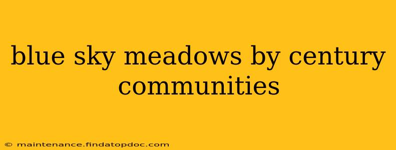 blue sky meadows by century communities