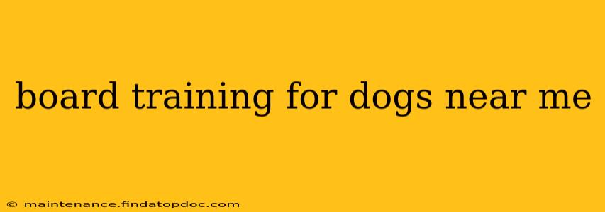 board training for dogs near me