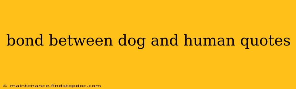 bond between dog and human quotes