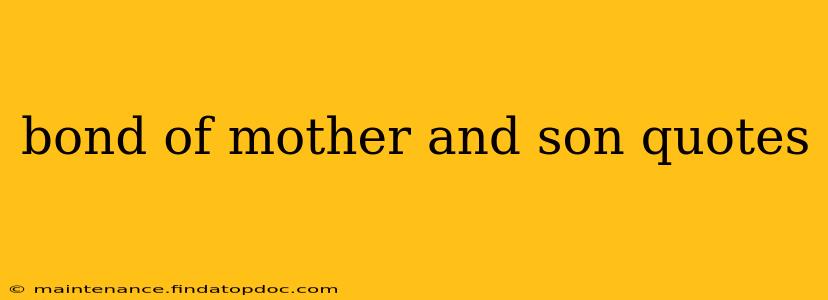 bond of mother and son quotes