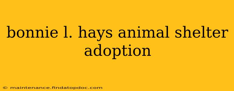 bonnie l. hays animal shelter adoption
