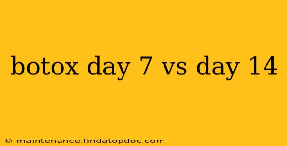 botox day 7 vs day 14