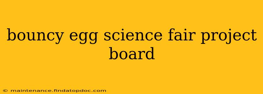 bouncy egg science fair project board