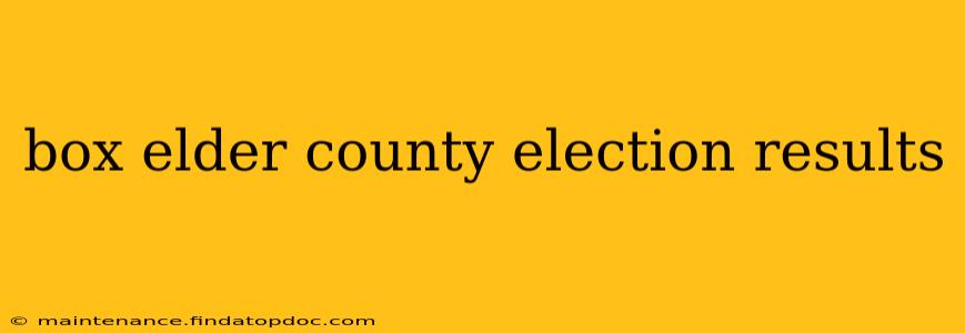 box elder county election results