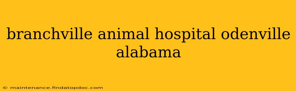 branchville animal hospital odenville alabama