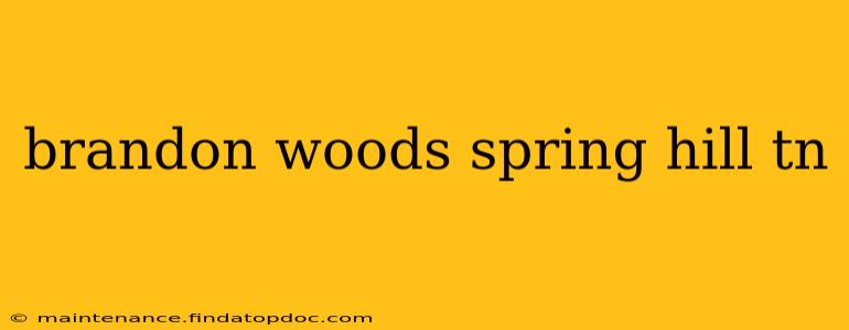brandon woods spring hill tn