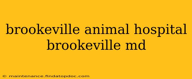 brookeville animal hospital brookeville md