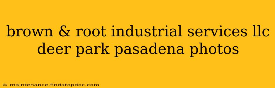 brown & root industrial services llc deer park pasadena photos