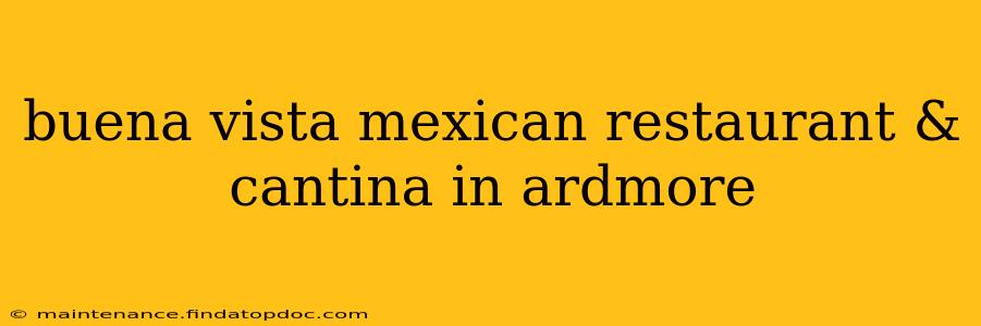 buena vista mexican restaurant & cantina in ardmore