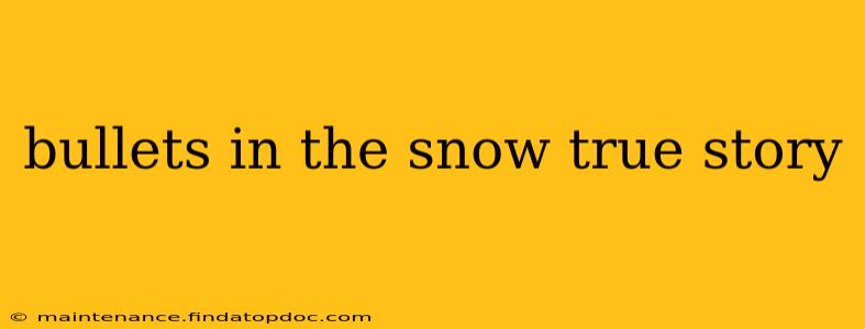 bullets in the snow true story
