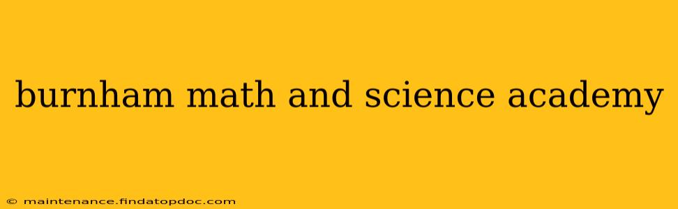 burnham math and science academy
