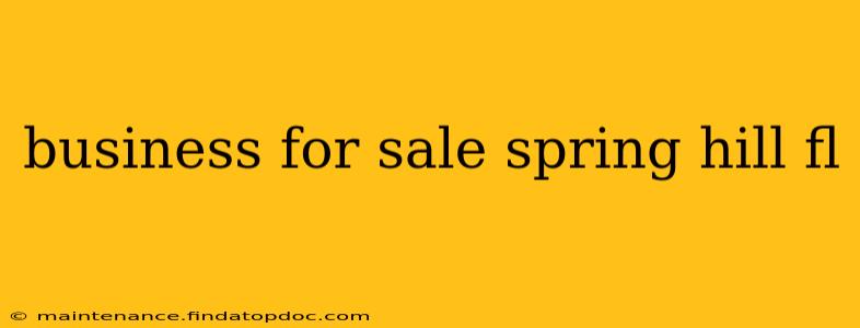 business for sale spring hill fl