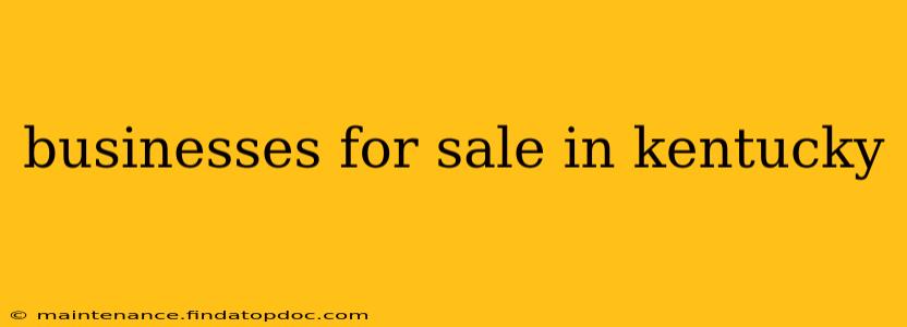 businesses for sale in kentucky