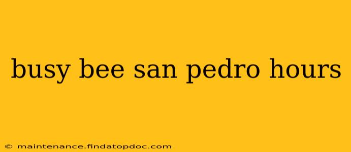 busy bee san pedro hours