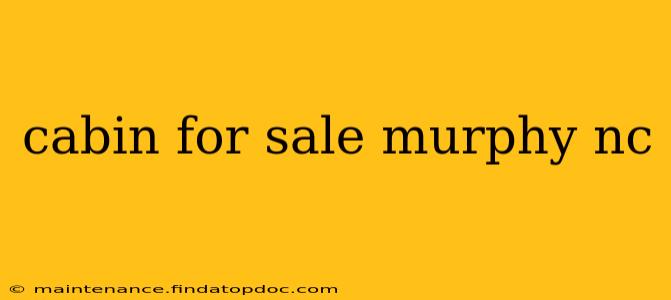 cabin for sale murphy nc