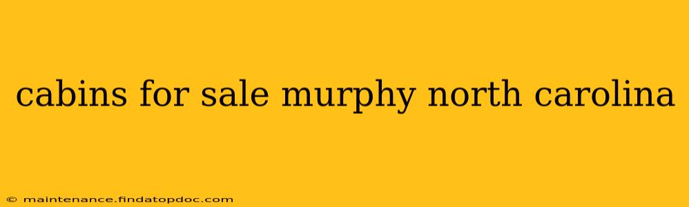 cabins for sale murphy north carolina
