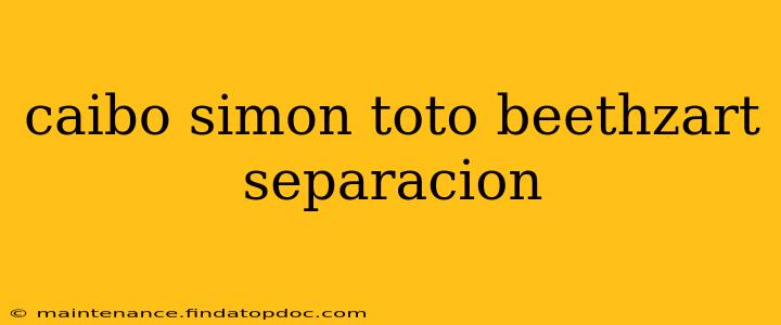 caibo simon toto beethzart separacion