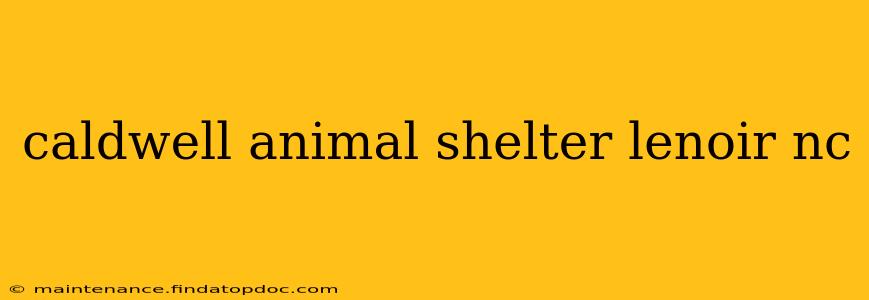 caldwell animal shelter lenoir nc