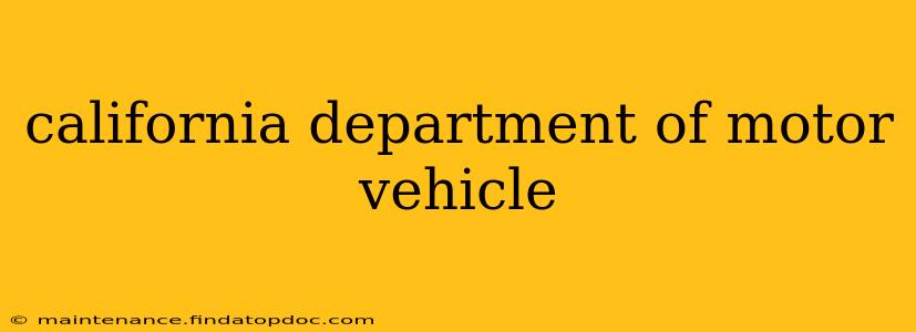 california department of motor vehicle