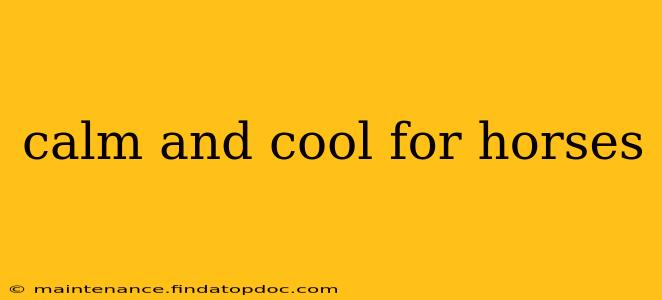 calm and cool for horses