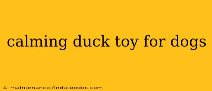 calming duck toy for dogs