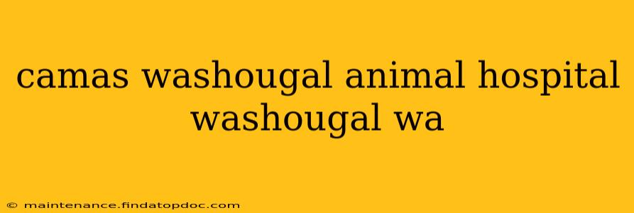 camas washougal animal hospital washougal wa