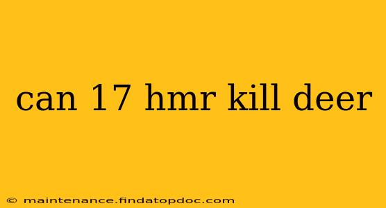 can 17 hmr kill deer