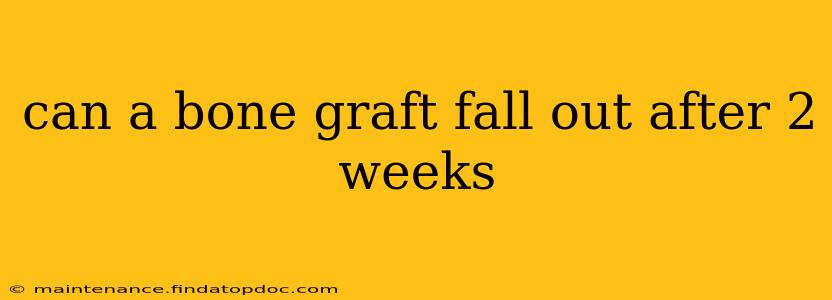 can a bone graft fall out after 2 weeks