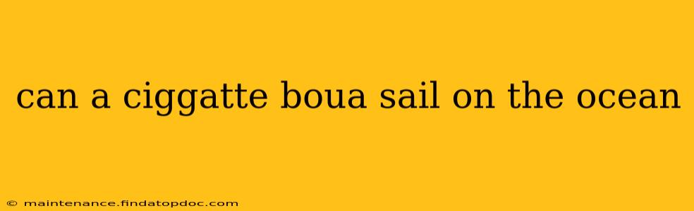 can a ciggatte boua sail on the ocean